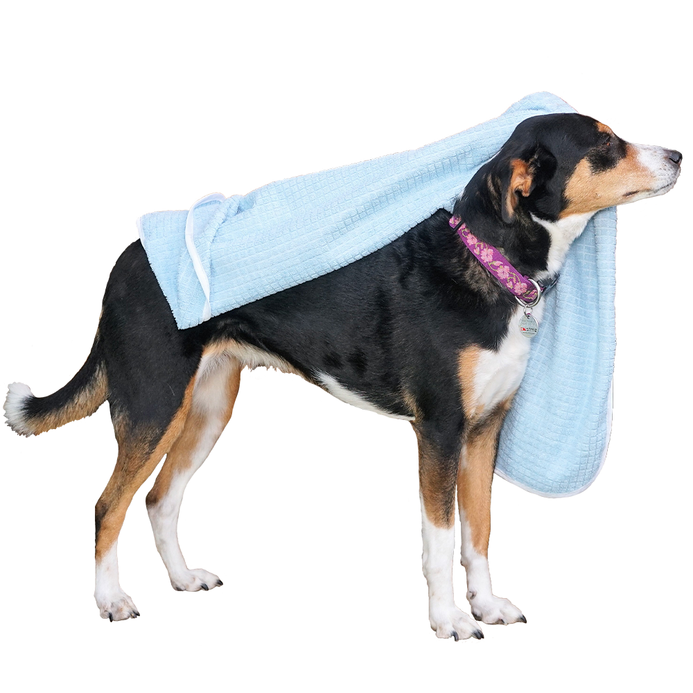 Serviette pour Chien