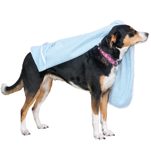 Serviette pour Chien